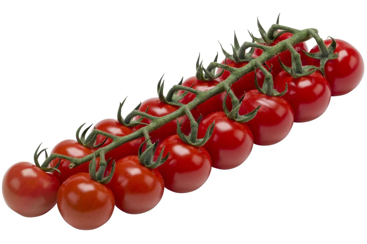 Tomaat Cherry pot 250gr BE 9ST BIO