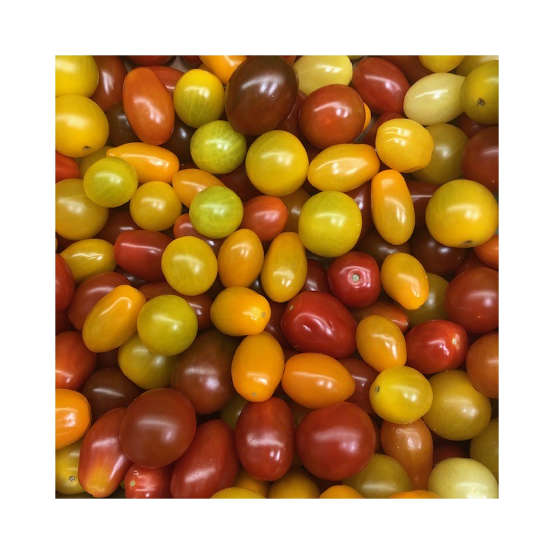 Tomaat Cherry Wild Mix Color BE 2KG BIO