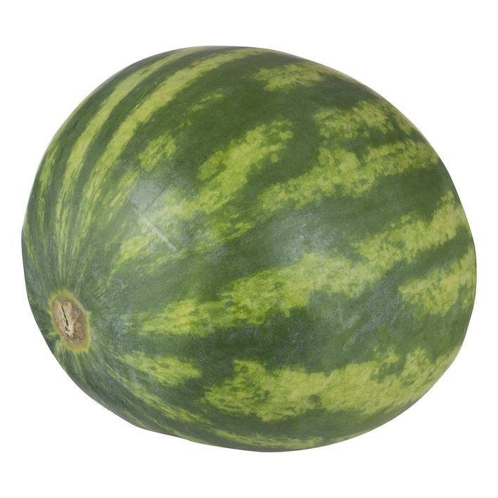 Pasteq ES 12ST BIO