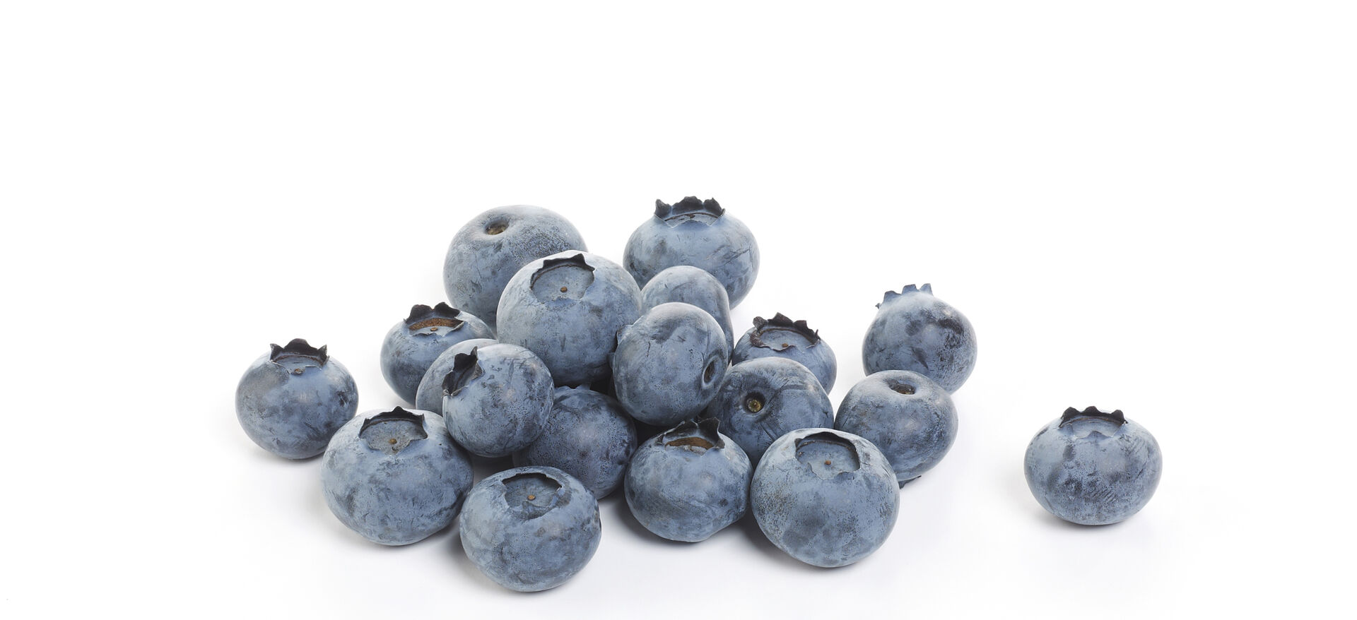 Myrtilles 125gr ES 12ST BIO