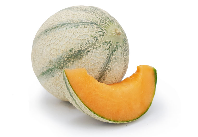 Melon Cantaloupe ES 7ST BIO