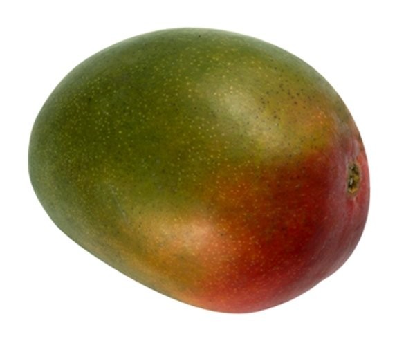Mangue Kent 9pc SN 4KG BIO