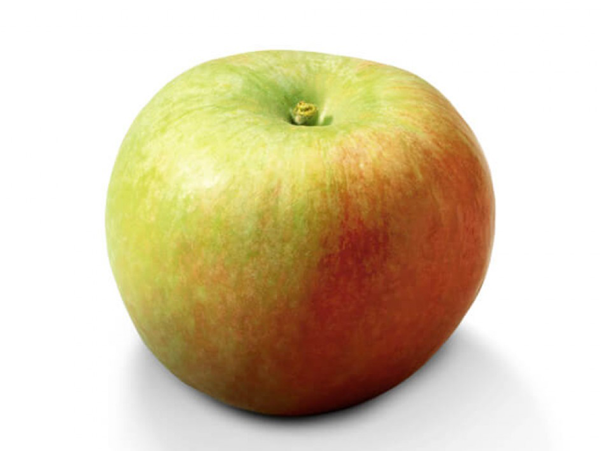 Pomme Delbar Estival FR 13KG CAT1 BIO