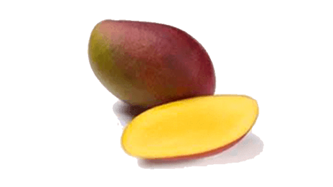 Mangue Osteen 8pc ES 4KG BIO