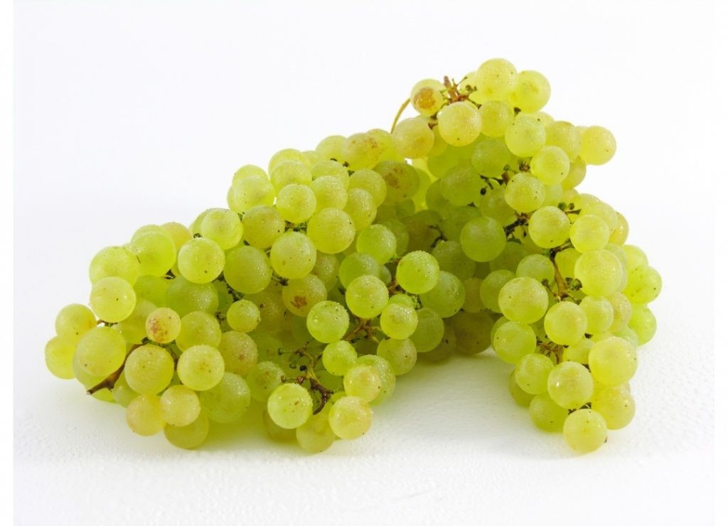 Raisin Blanc Chasselas FR 8KG CAT1 BIO