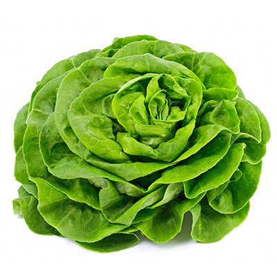 Warmoes Color FR 5KG BIO