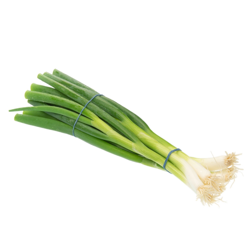 Oignon botte IT 14ST BIO