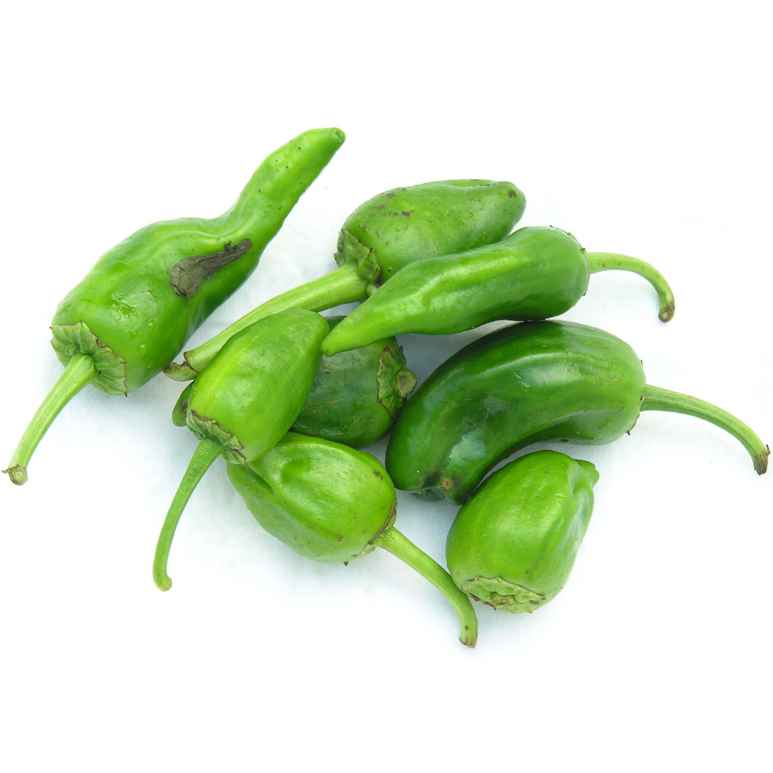 Piment Pardon BE 1KG CAT1 BIO