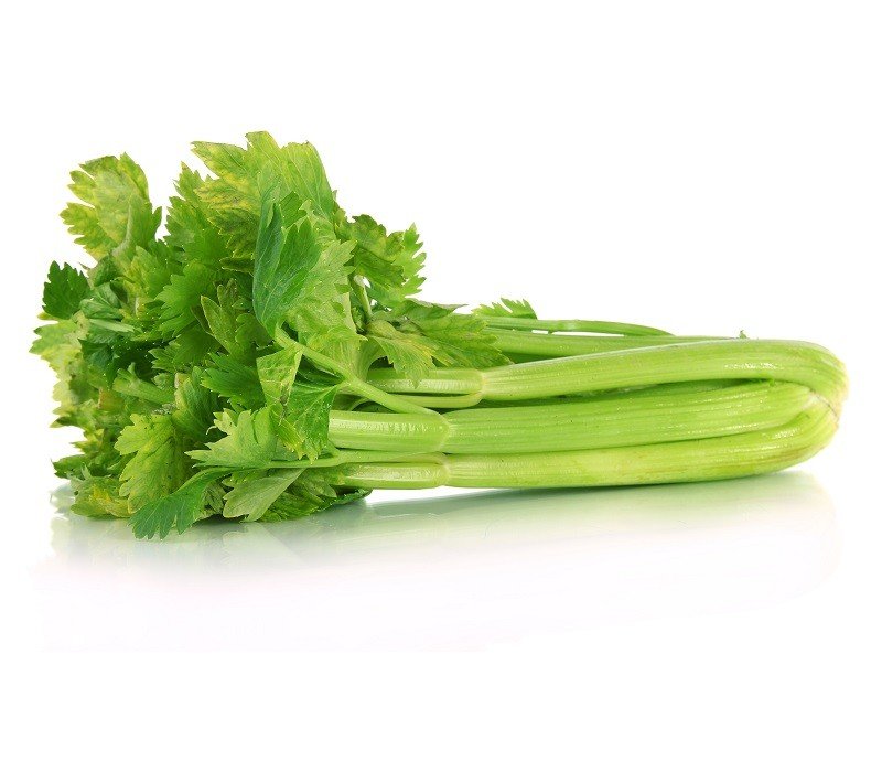 Céleri vert Botte BE 10ST BIO